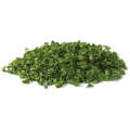 Dehydrated Vegetables Ad Green Onion Dried Chives